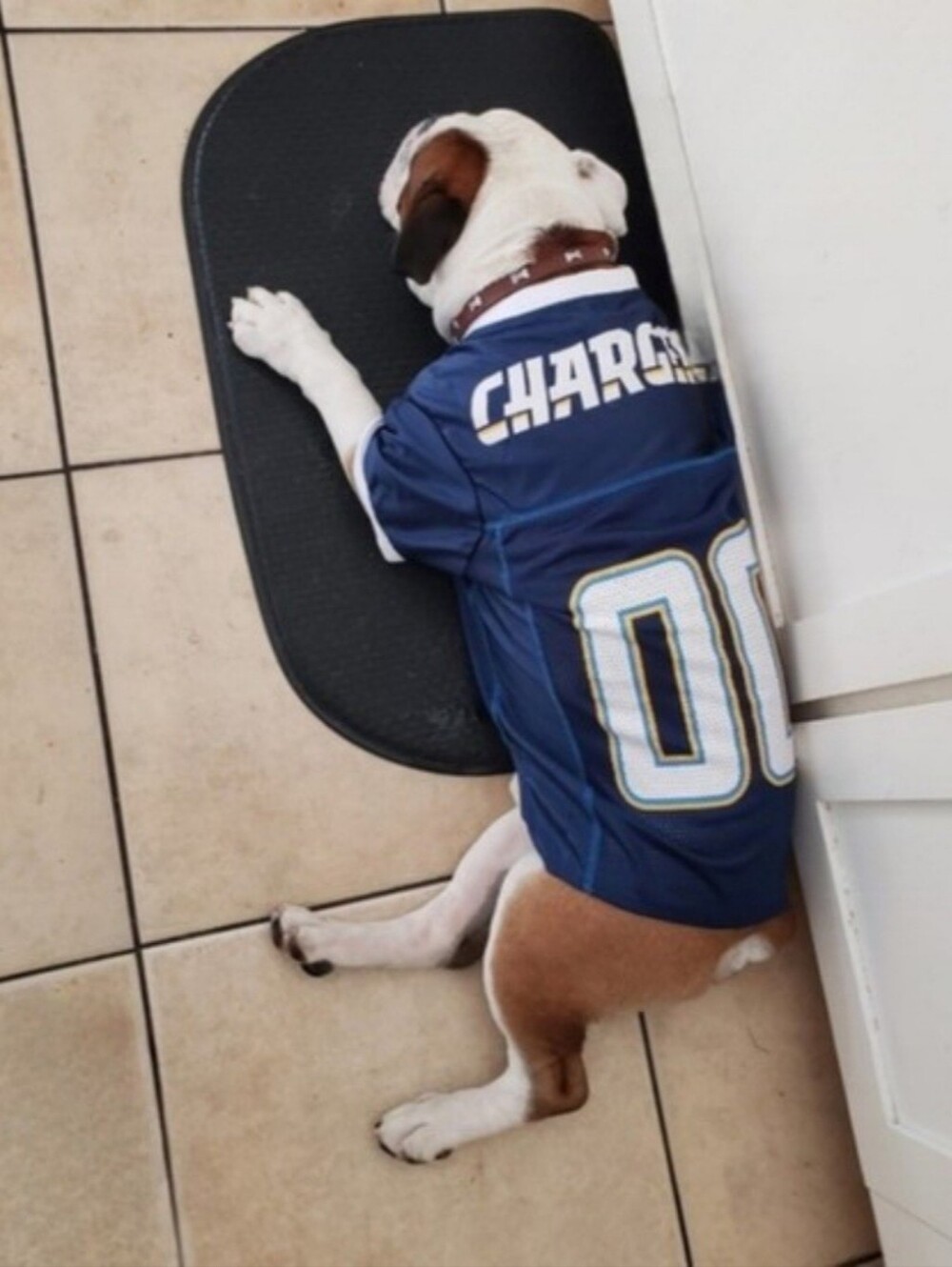 Los Angeles Chargers NFL Dog Jersey Size XL (up to 60lb)